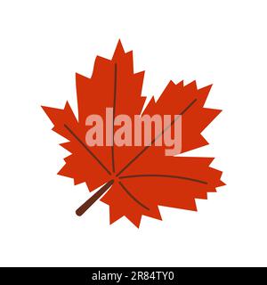 Début de la chute. Élément d'automne confortable. Feuilles d'érable sur fond blanc. Chaude saison d'automne. Illustration vectorielle. Illustration de Vecteur