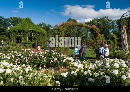 Parc Elizabeth   Hartford, Connecticut, USA Banque D'Images