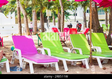 chaises longues avec matelas vert pâle et violets à l'ombre des palmiers sur la plage tropicale sablonneuse du complexe.détente. Chaises longues avec coussins pour bains de soleil Banque D'Images