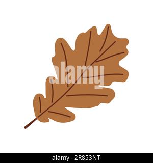 Début de la chute. Élément d'automne confortable. Feuilles de chêne sur fond blanc. Chaude saison d'automne. Illustration vectorielle. Illustration de Vecteur