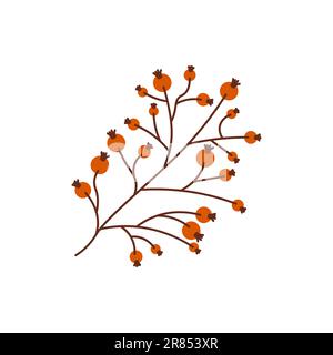 Début de la chute. Élément d'automne confortable. Feuilles de baies sur fond blanc. Chaude saison d'automne. Illustration vectorielle. Illustration de Vecteur