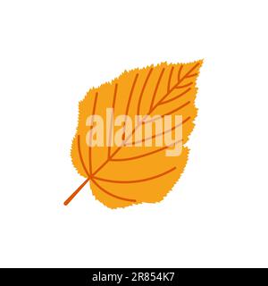 Début de la chute. Élément d'automne confortable. Feuilles de bouleau sur fond blanc. Chaude saison d'automne. Illustration vectorielle. Illustration de Vecteur