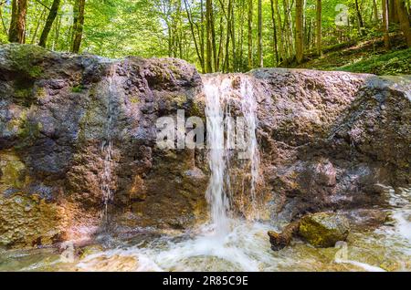 Petite cascade d'une crique par une belle journée d'été. L'eau claire d'un ruisseau, coule au-dessus d'un vieux barrage, construit comme contrôle de torrent. Ambiance relaxante et paisible. Banque D'Images