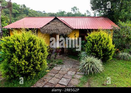 Belles guesthes entourées de belle végétation tropicale et de fleurs dans le village le plus propre d'Asie, Mawlynnong à Meghalaya, en Inde Banque D'Images