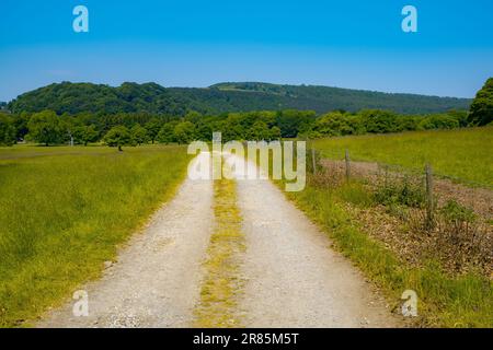 Un chemin pittoresque dans un cadre rural entouré de verdure luxuriante. Derbyshire, Angleterre. Banque D'Images