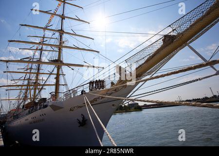 Pendant l'Armada, le Dar Mlodziezy se trouve sur la Seine. Navire de formation de Gdynia, Pologne. Un navire de mât de 3 de l'Université maritime. Banque D'Images