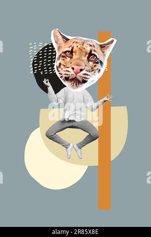 Collage photo de la tête de personne drôle tigre chat saut équilibre dans air méditation costume mascarade partie isolée sur fond gris Banque D'Images