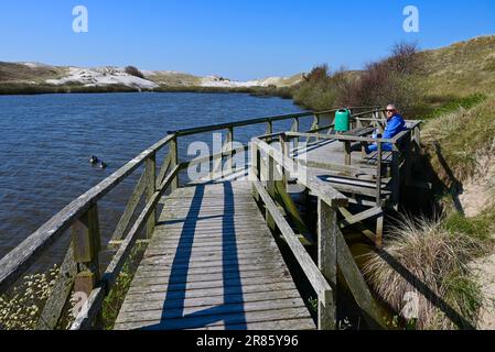 Marcher le long de la Wriakhörnsee à Wittdün, Amrum, îles frisonnes, mer des Wadden, mer du Nord, Allemagne Banque D'Images