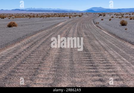 Puna - conduire à travers un paysage bizarre mais magnifique avec un champ de pierre ponce, des roches volcaniques et des dunes de sable dans le nord de l'Argentine Banque D'Images