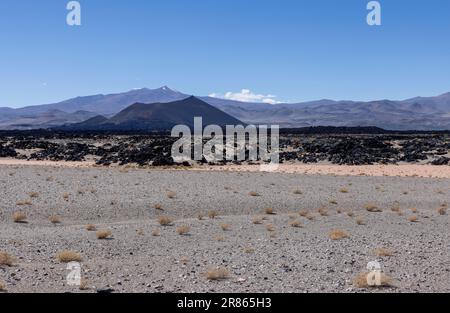 En route vers Antofagasta de la Sierra tout en découvrant les hauts plateaux argentins appelés Puna en Amérique du Sud Banque D'Images