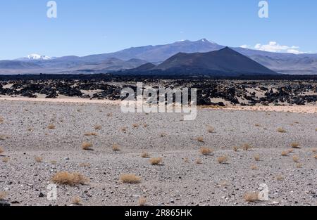 En route vers Antofagasta de la Sierra tout en découvrant les hauts plateaux argentins appelés Puna en Amérique du Sud Banque D'Images