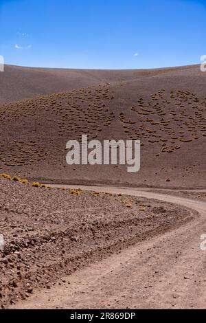 Traverser les Andes de Antofagasta de la Sierra à Antofalla - paysage magnifique dans les hauts plateaux argentins appelés Puna en Amérique du Sud Banque D'Images