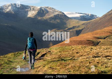 Un randonneur et leur chien marchant sur le sentier jusqu'au sommet de Grisedale Pike avec Crag Hill et Grasmoor au loin en hiver dans le lac D anglais Banque D'Images