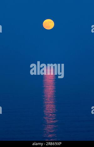 La pleine lune de la baie de Strawberry qui s'élève sur la rive nord au-dessus de Gichigami (lac supérieur), juin 2023. La Lune de fraise est également appelée le Mo de miel ou de Mead Banque D'Images