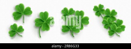 Ensemble réaliste de feuilles de trèfle isolées sur fond transparent. Illustration vectorielle de 3D trifoils verts à quatre et trois feuilles. Symbole de bonne chance, Illustration de Vecteur