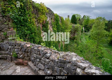 Hôtel du château de Ruthin (Castell Rhuthun) dans la ville de Ruthin dans la vallée de Clwyd, au nord du pays de Galles. Banque D'Images