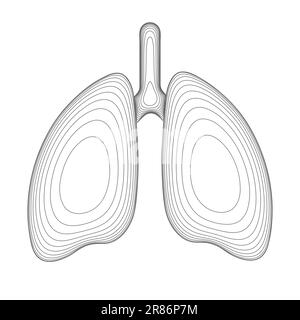 Image filaire des poumons humains. Vue avant avec trachée. Illustration vectorielle. Illustration de Vecteur