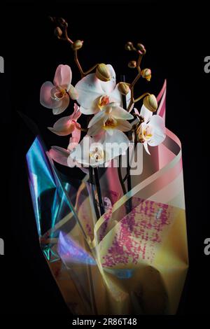 Un bel arrangement de fleur d'orchidée dans un vase en verre rempli d'eau Banque D'Images