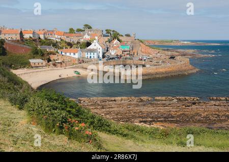 Vue sur le port pittoresque et pittoresque du village de pêcheurs en bord de mer de Crail lors d'une journée ensoleillée d'été à East Neuk, Fife, Écosse. Banque D'Images