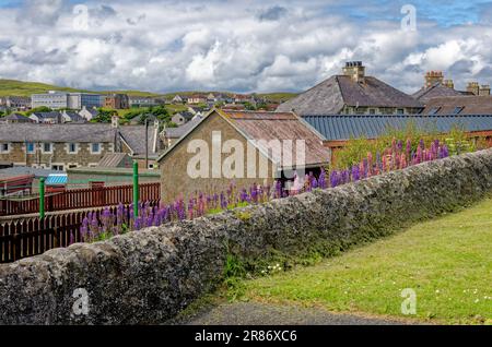 Ville de Lerwick Street Scene, Shetland Islands, Écosse. Ville principale et port de l'archipel des Shetland, Écosse - 18th juillet 2012 Banque D'Images