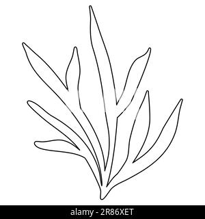 Algues ou plante d'eau d'aquarium, plantation sous-marine, dessin vectoriel plat style doodle pour enfants livre de coloriage Illustration de Vecteur