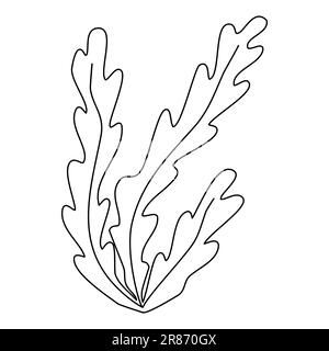 Plante aquatique de mer et d'aquarium, plantation sous-marine d'algues, dessin vectoriel plat de style doodle pour les enfants livre de coloriage Illustration de Vecteur