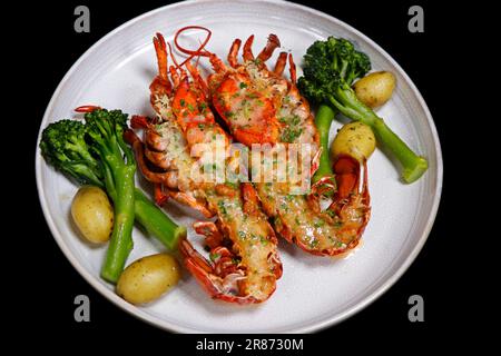 plat thermidor de homard du maine canadien avec brocoli et petite pomme de terre, fond noir Banque D'Images