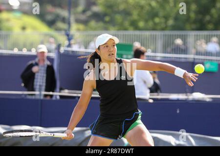 Ilkley, Royaume-Uni. 19th juin 2023. Club de tennis d'Ilkley, Angleterre, 19 juin 2023: Tan d'harmonie pendant l'Ilkley W100 contre Jesika Maleckova au Club de tennis d'Ilkley (Sean Chandler/SPP) crédit: SPP Sport photo de presse. /Alamy Live News Banque D'Images