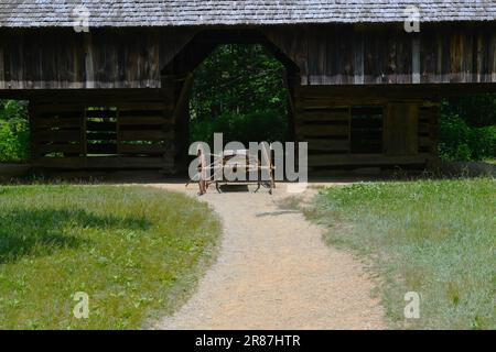 La place Tipton, Cades Cove. Banque D'Images