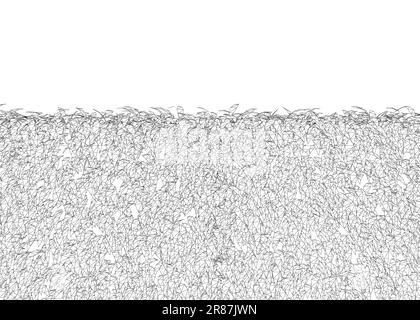 Clôture en herbe rectangulaire buissons en bois de buis filaires. Plante ornementale pour décorer un parc, un jardin ou une clôture verte. Feuillage pour le printemps et l'été ca Illustration de Vecteur