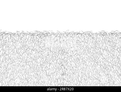 Buissons rectangulaires de buis de clôture d'herbe. Plante ornementale pour décorer un parc, un jardin ou une clôture verte. Feuillage pour le motif printemps et été. Illustration de Vecteur