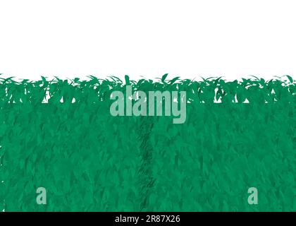 Green Grass clôture rectangulaire buissons de buis polygonal. Plante ornementale pour décorer un parc, un jardin ou une clôture verte. Feuillage pour le printemps et la somme Illustration de Vecteur