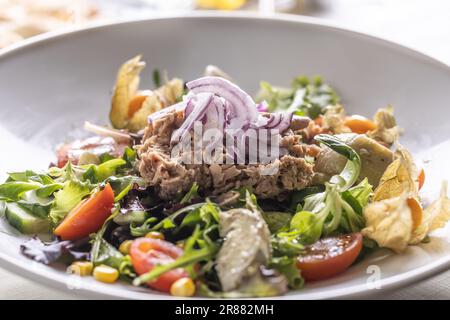 Détail d'une salade de thon dans une assiette avec divers légumes colorés. Banque D'Images