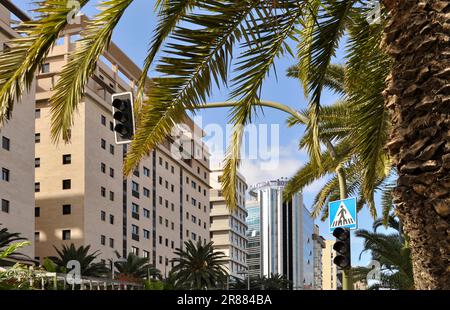 S. Cruz, Centre ville, Santa Cruz de Tenerife, île de Ténérife Banque D'Images