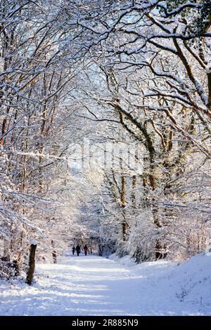 Les gens qui marchent le long de la neige ont couvert la valeur de chemin dans East Grinstead Banque D'Images