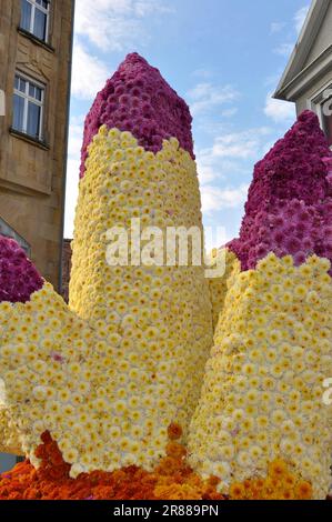 Spécimen de cristal de roche et améthyste à base de chrysanthèmes, Chrysanthema à Lahr, le plus grand festival de fleurs en plein air d'Allemagne à la fin de l'automne, divers Banque D'Images