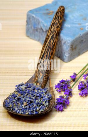 Fleurs de lavande (Lavandula angustifolia) séchées, savon de lavande Banque D'Images