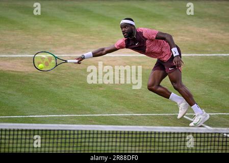 Frances Tiafoe USA convertit son point de match pour gagner le titre, action, tennis, BOSS Open 2023, Weissenhof, Stuttgart, Bade-Wurtemberg, Allemagne Banque D'Images