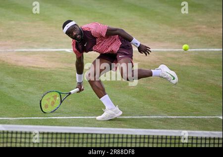 Frances Tiafoe USA convertit son point de match pour gagner le titre, action, tennis, BOSS Open 2023, Weissenhof, Stuttgart, Bade-Wurtemberg, Allemagne Banque D'Images