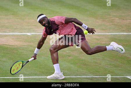 Frances Tiafoe USA convertit son point de match pour gagner le titre, action, tennis, BOSS Open 2023, Weissenhof, Stuttgart, Bade-Wurtemberg, Allemagne Banque D'Images