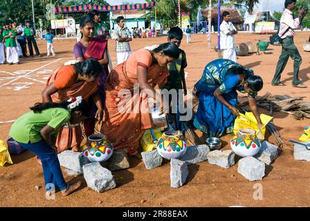 Femmes qui participent à la célébration du Pongal à Polachi, Tamil Nadu, Inde du Sud, Inde, Asie Banque D'Images