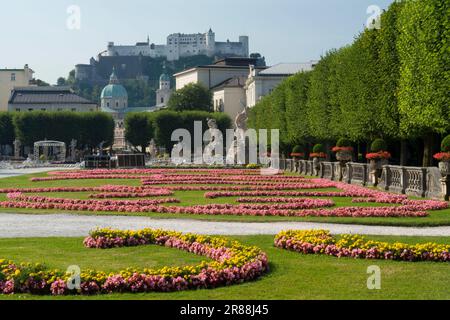 Mirabelgarten, Salzbourg, Autriche Banque D'Images