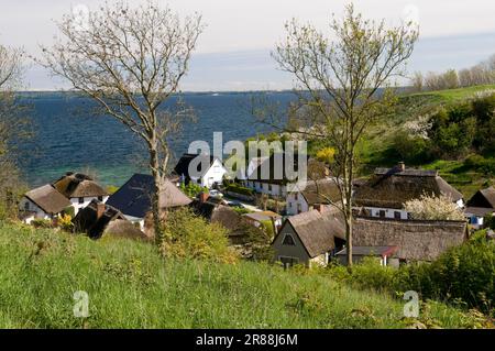 Maisons de chaume, village de pêcheurs de Vitt, Île de Ruegen, Mecklembourg-Poméranie occidentale, Allemagne Banque D'Images