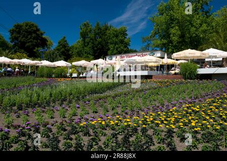 Café 'an den Wasserbecken', Westfalenpark Dortmund, région de la Ruhr, Rhénanie-du-Nord-Westfalia, Allemagne (Rosa) Banque D'Images