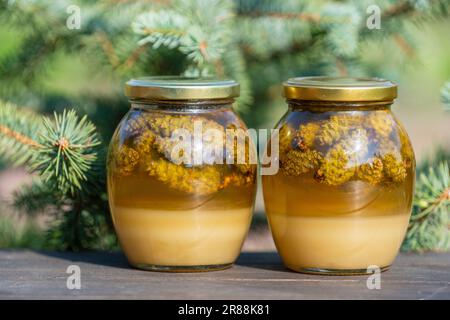 Deux pots en verre de miel frais avec des cônes de pin sur une table en bois, gros plan Banque D'Images