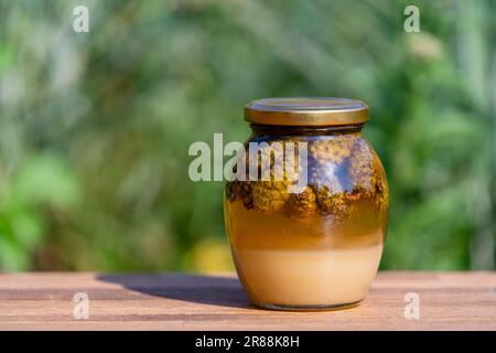 Pot en verre de miel frais avec des cônes de pin sur une table en bois, gros plan Banque D'Images