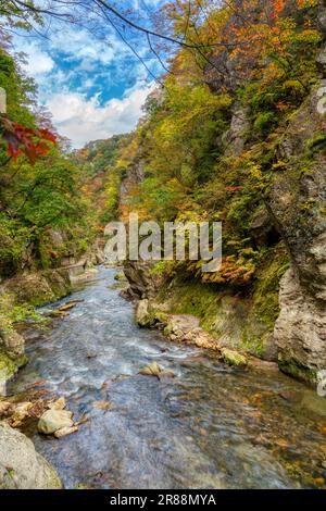 La rivière Daiya serpente à travers la gorge de Naruko en automne, entourée d'un feuillage vibrant et de petites cascades. L'atmosphère sereine est un méchant mécontentement Banque D'Images