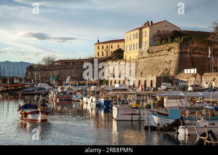 Port de pêche, Ajaccio, Corse-du-Sud, Corse. Banque D'Images