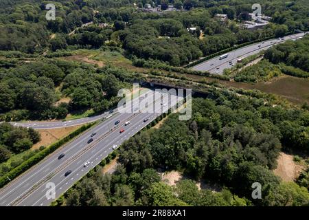 Vue aérienne de la faune traversant l'intersection près d'Utrecht dans le paysage hollandais. Infrastructure et transport urbain Banque D'Images