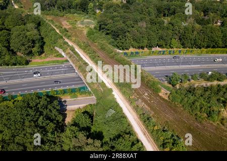 Vue aérienne de la faune traversant l'intersection près d'Utrecht dans le paysage hollandais. Infrastructure et transport urbain Banque D'Images